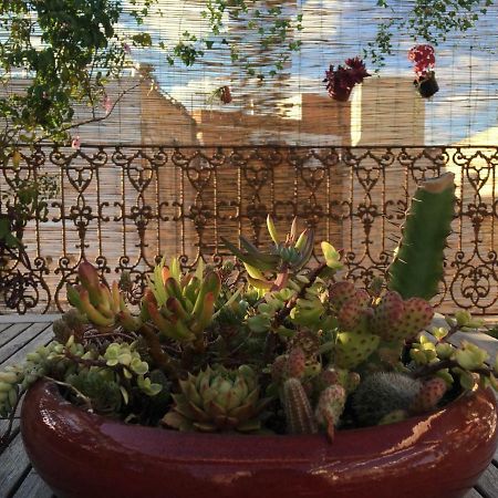 Guest House Europa 12 Sevilla Bagian luar foto